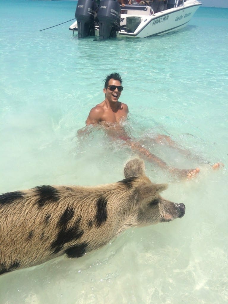 A man having fun playing with a pig in the water at Pig Beach, Bahamas