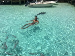 Swimming with sharks in the Bahamas