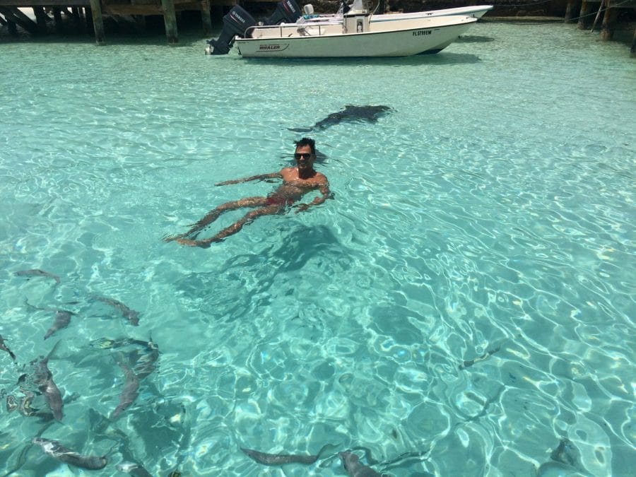 Swimming with pigs and sharks in the Bahamas 7 Staniel Cay
