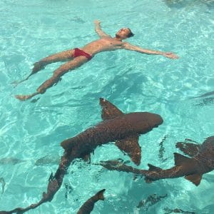 Floating with sharks in Compass Cay, Exumas how to get to Pig Island