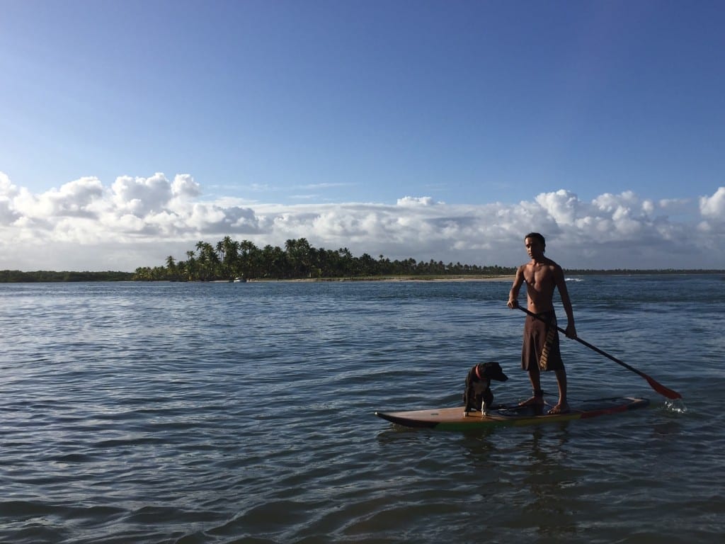 Um homem com um cachorro em uma prancha de Stand-up paddleboard na Praia Boca da Barra, Ilha de Boipeba, Bahia, Brasil