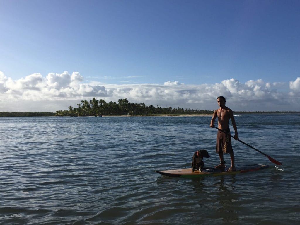 Un hombre con un perro en una plancha de stand-up paddleboard en Playa da Boca da Barra, Isla de Boipeba, Bahia, Brasil