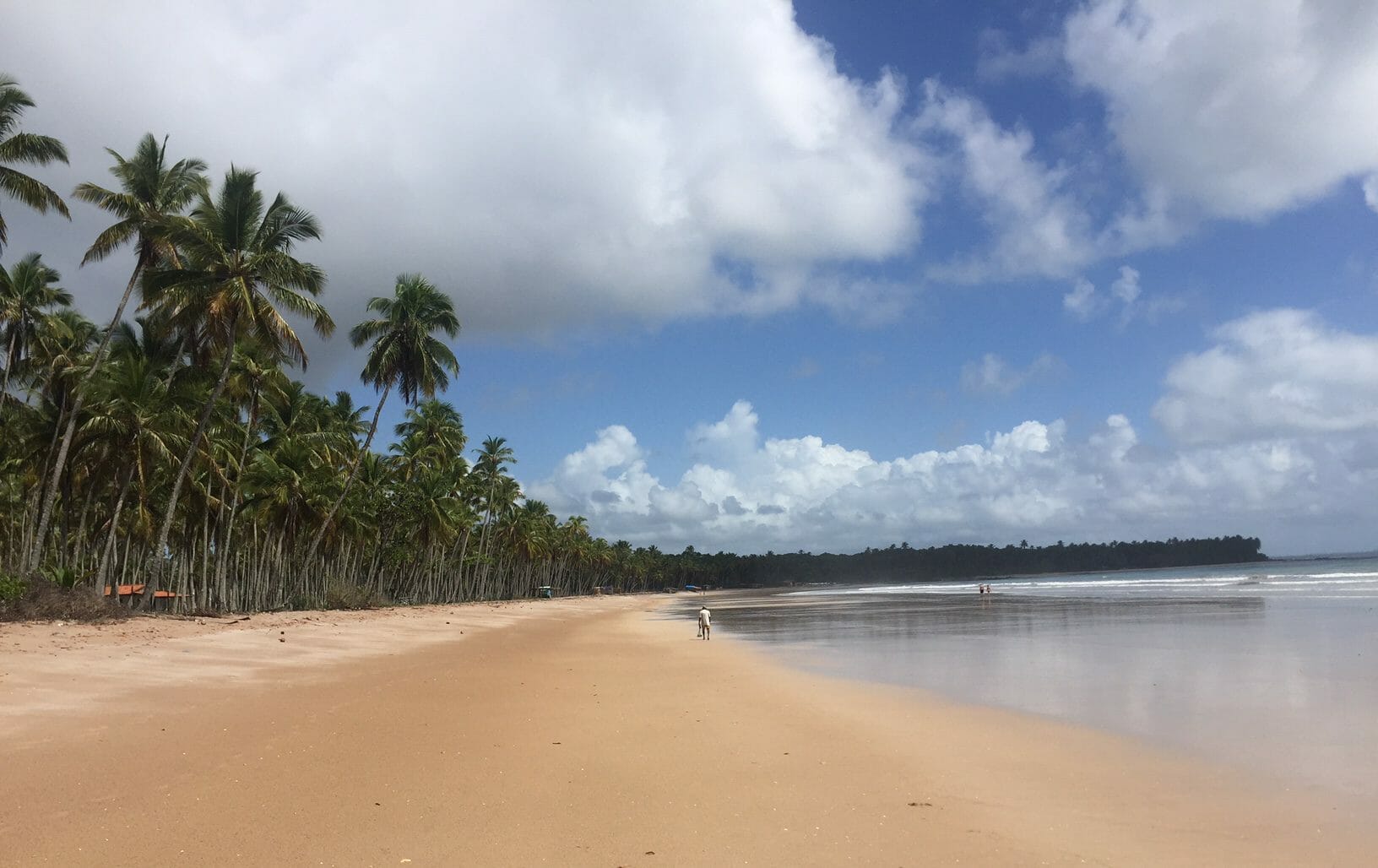Cueira Beach, Boipeba Island, Bahia, Brazil
