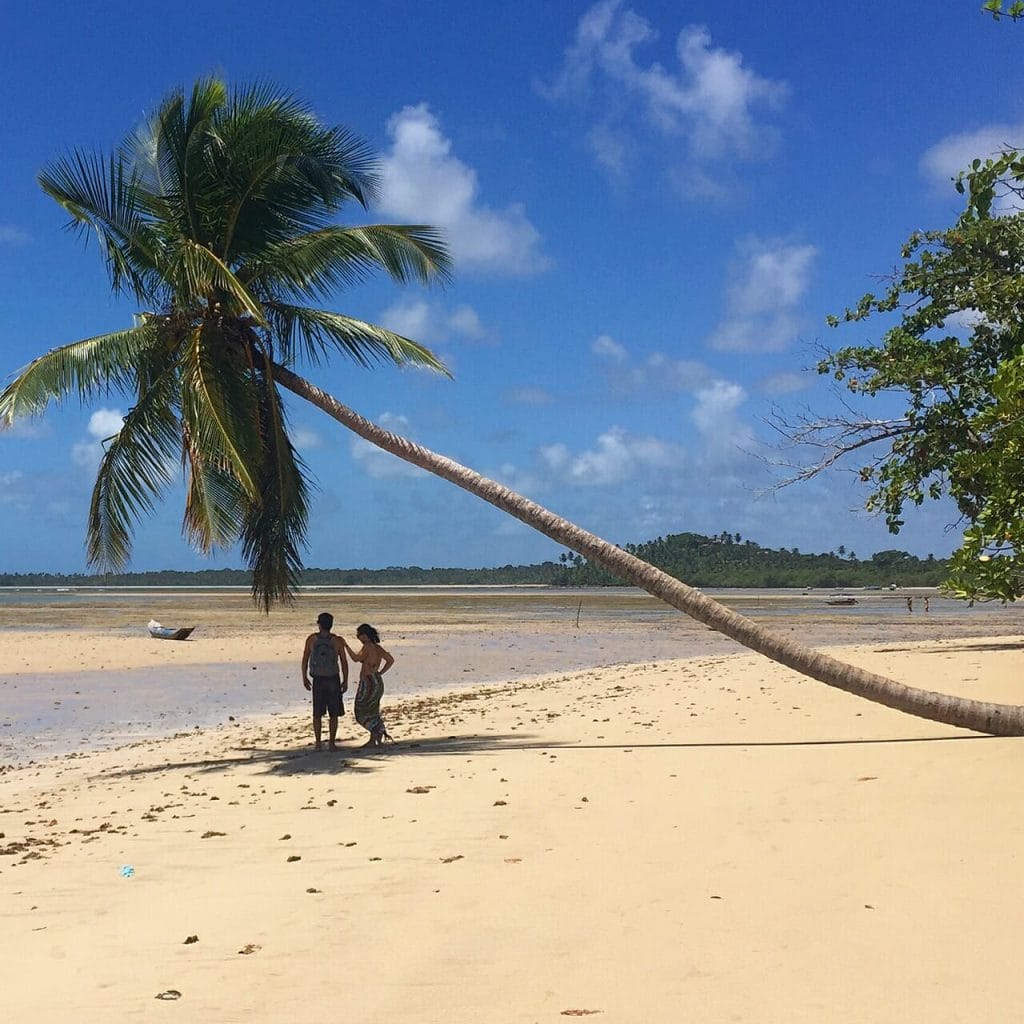 Una pareja en la sombra de un cocotero en la Playa de Moreré, Isla de Boipeba, Bahia, Brasil