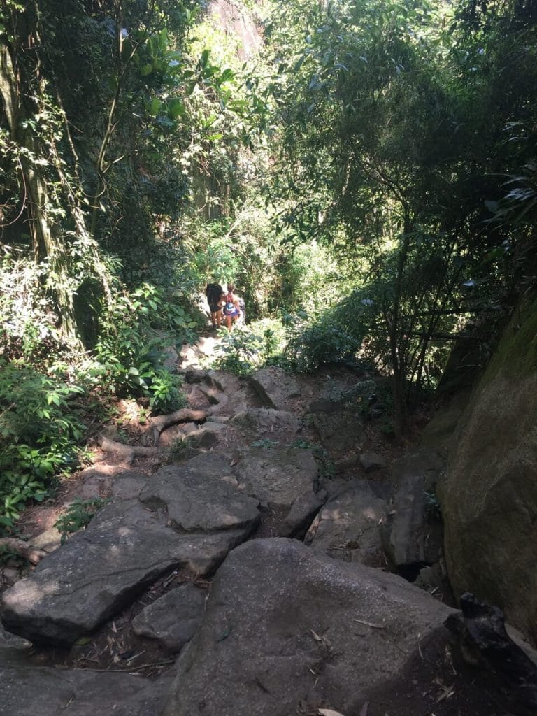 A part of the trail to Pedra da Gavea, Rio de Janeiro, Brazil