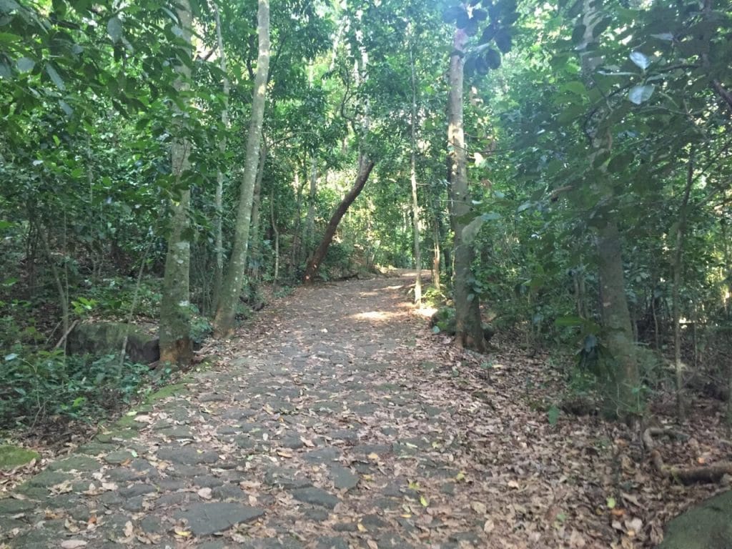 The starting of the trail to Pedra da Gavea, Tijuca National Park, Rio de Janeiro, Brazil