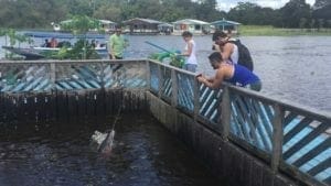 Riverine communities Tour in Manaus
