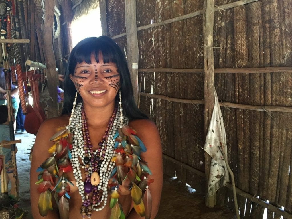 Visiting an Indigenous Tribe in the Amazon, Brazil 1