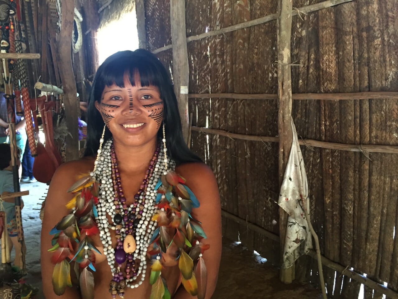 Visiting an Indigenous Tribe in the Amazon, Brazil 7 Continents 1