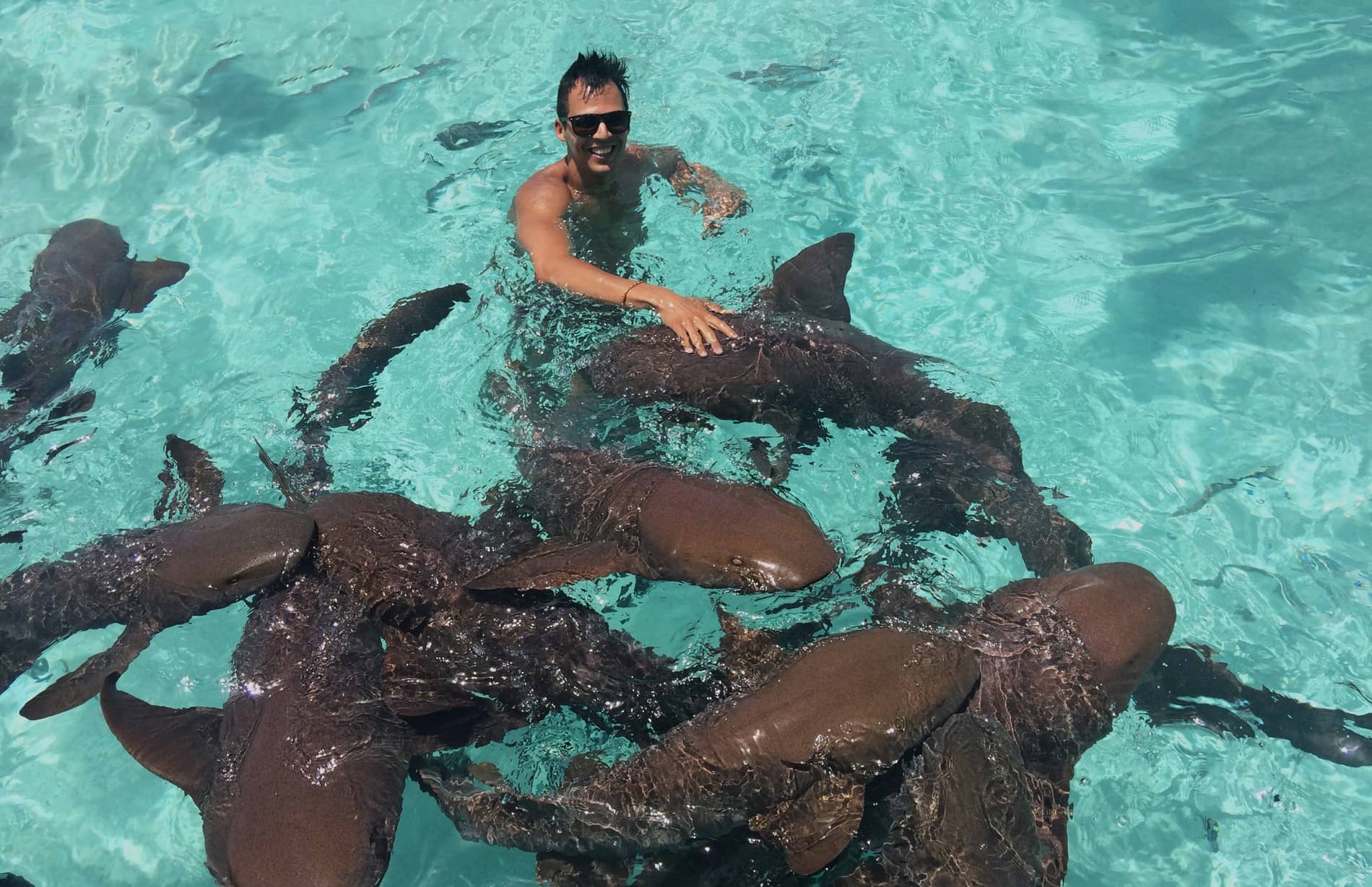 Swimming with sharks in the Bahamas 7continents1passport