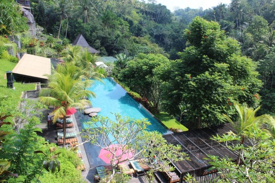 A swimming pool and three Indonesian style houses surrounded by lush vegetation at Jungle Fish, Bali