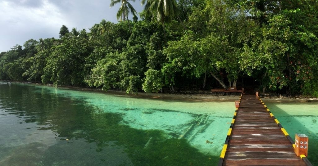 A jetty surrounded by emerald water and lush vegetation in Raja Ampat, Indonesia