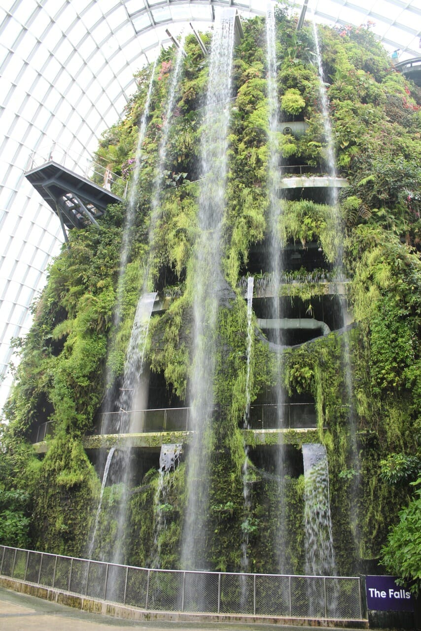 A 35-m man-made mountain covered with flowers and vegetation and the world’s tallest indoor at the Cloud Forest, Singapore