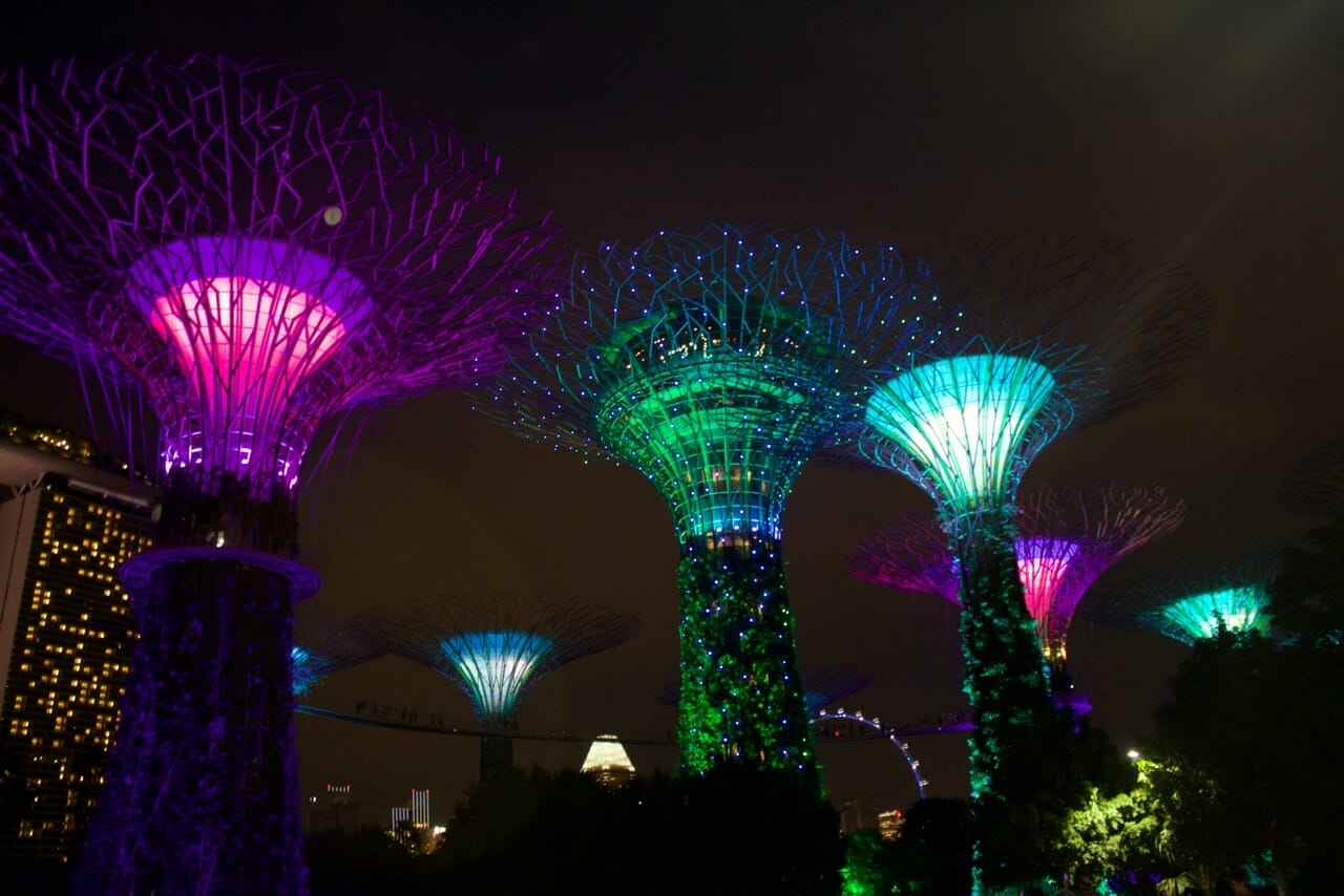 vertical artificial trees ilumintade in the evening in Singapore
