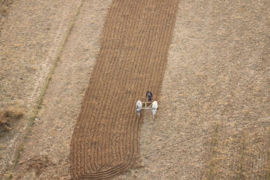 Riding a Hot Air Balloon in Bagan, Myanmar 11 Early in the morning in Bagan and people are already working on the farms...