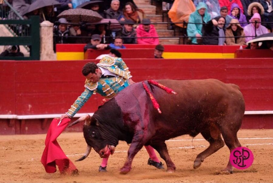 If the bulls aren’t injured is it acceptable to watch a bullfight? 1 bullfighting-valencia-spain-recortes