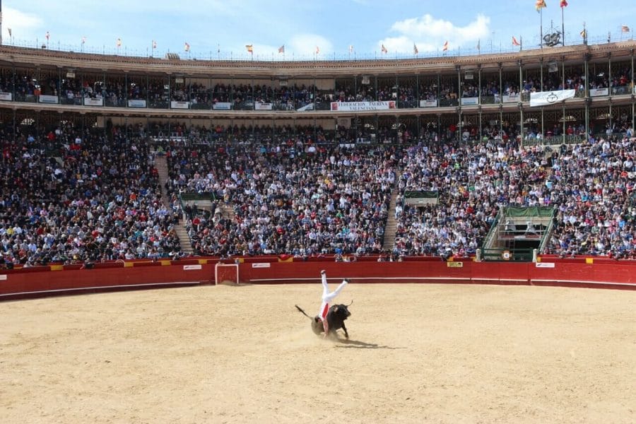 bullfighting-valencia-spain-recortes