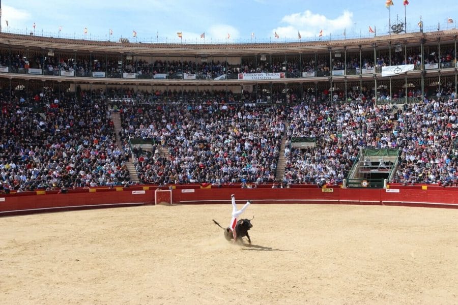 If the bulls aren’t injured is it acceptable to watch a bullfight? 5 bullfighting-valencia-spain-recortes
