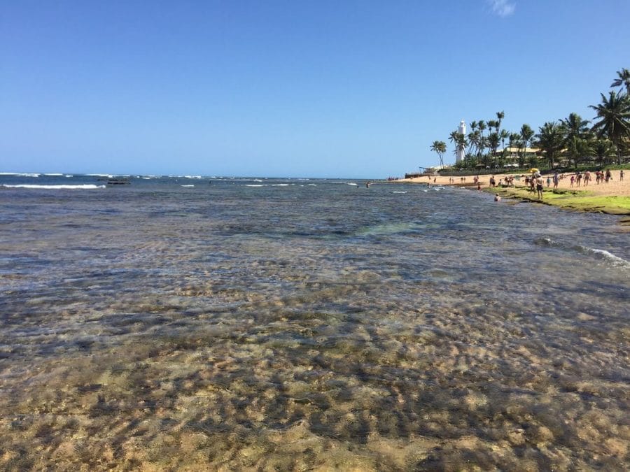 Las 7 Más Bellas y Mejores Playas de Bahia 15 mejores playas de Bahia