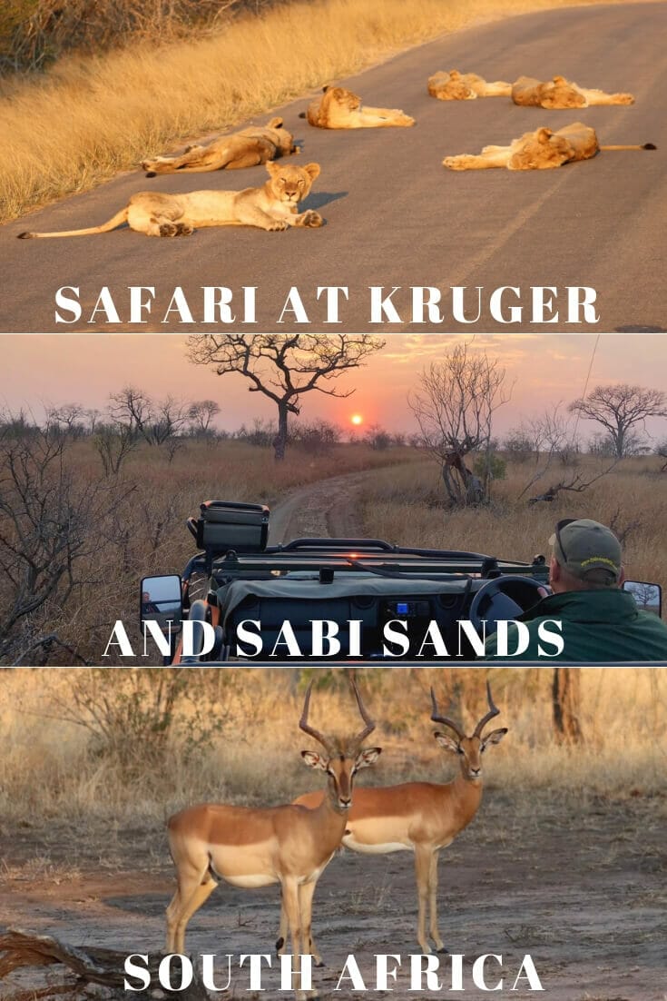 sabi-sands-safari-kruger