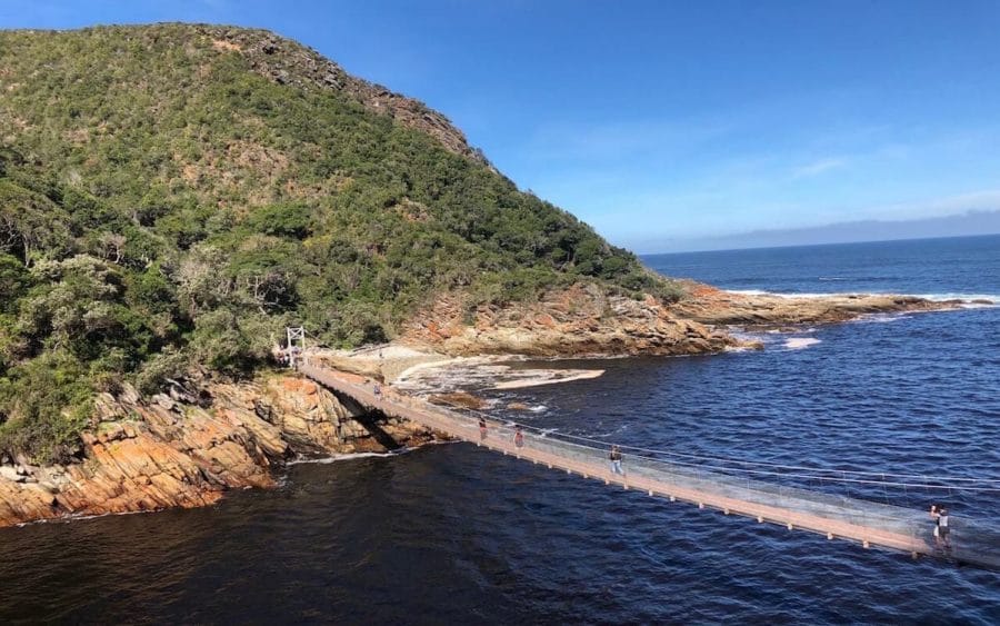 Garden Route Highlights + Addo with HotSpots2C 7 Tsitsikama National Park