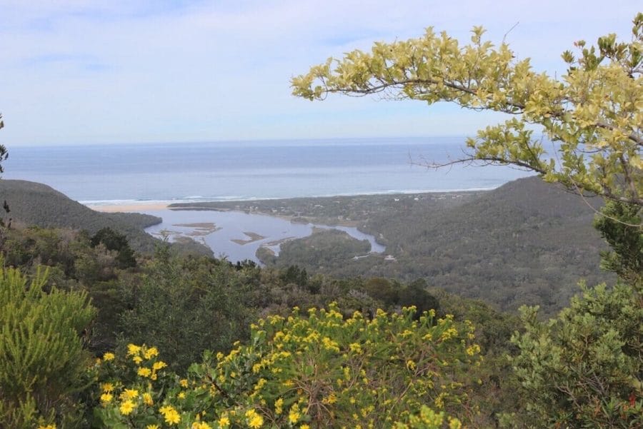 Garden Route Highlights + Addo with HotSpots2C 5 tsitsikama national forest