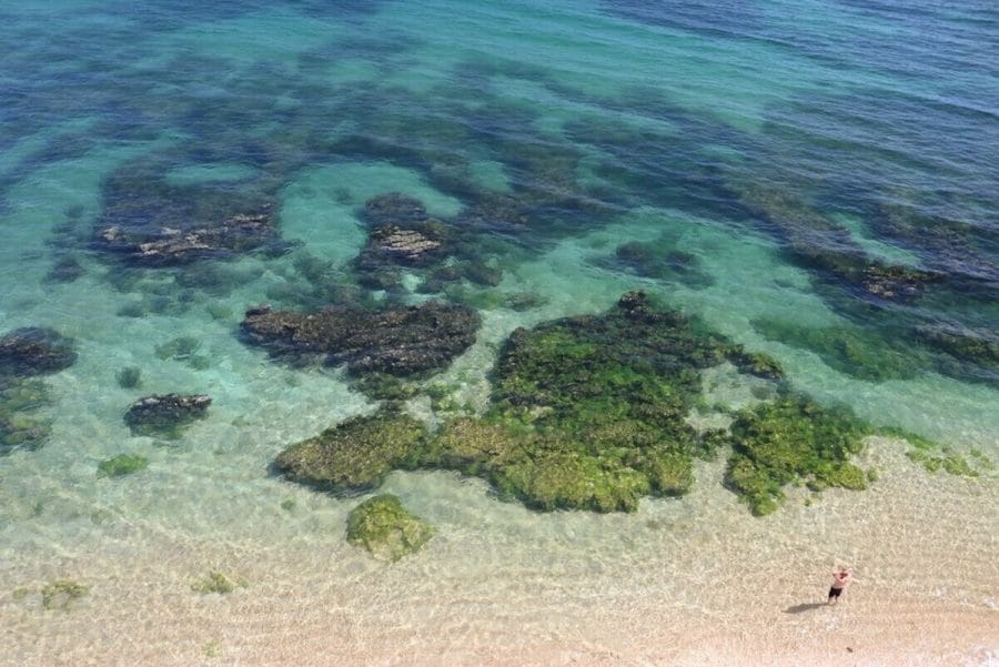 The crystal-clear azure water and rocks covered with green seaweed of Praia da Coelha, Albufeira