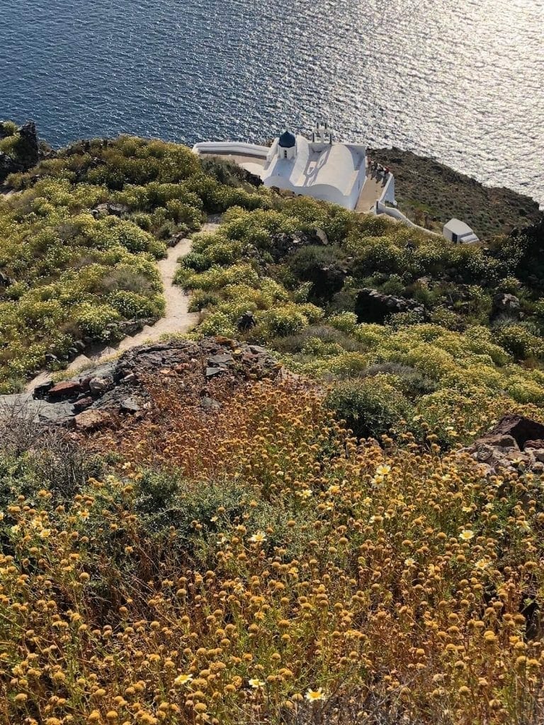 A hill covered with flowers and the Chapel of Panagia Theoskepastiat the base of the rock formation, Imerovigli, Santorini