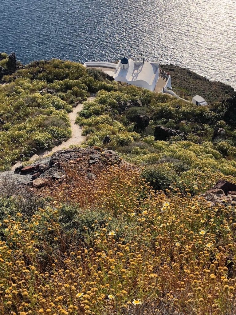 7 Best Things to Do in Imerovigli 16 A hill covered with flowers and the Chapel of Panagia Theoskepastiat the base of the rock formation, Imerovigli, Santorini