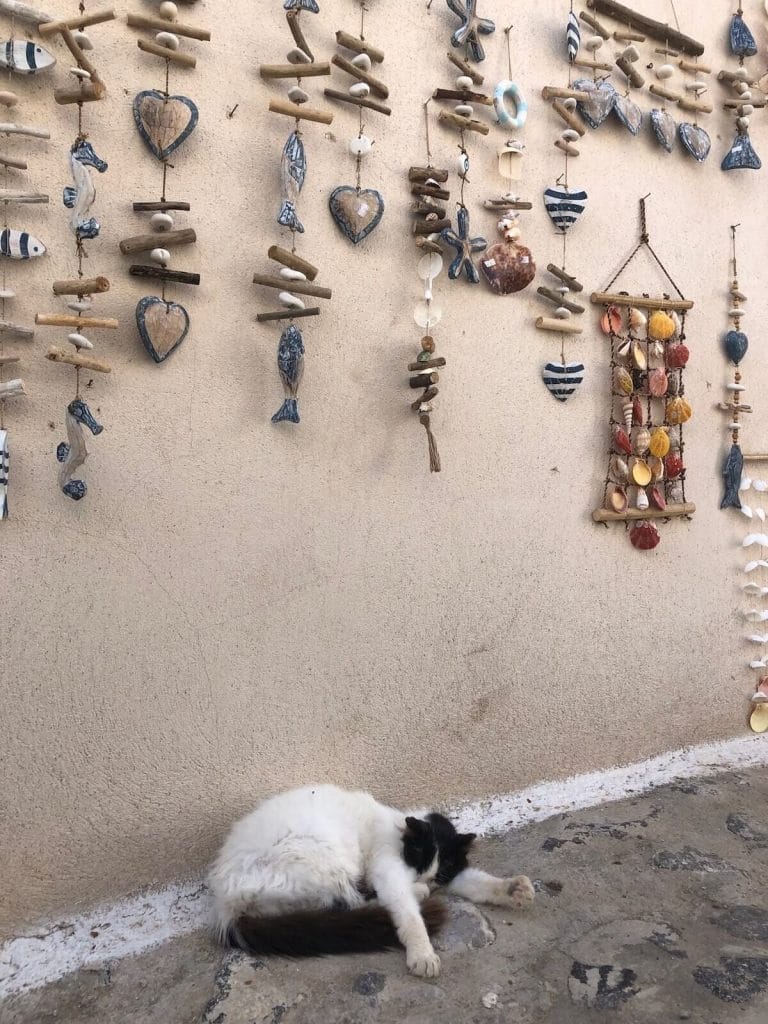 Um gato dormindo na rua e vários souvenirs em uma parede na vila de Pyrgos, Santorini