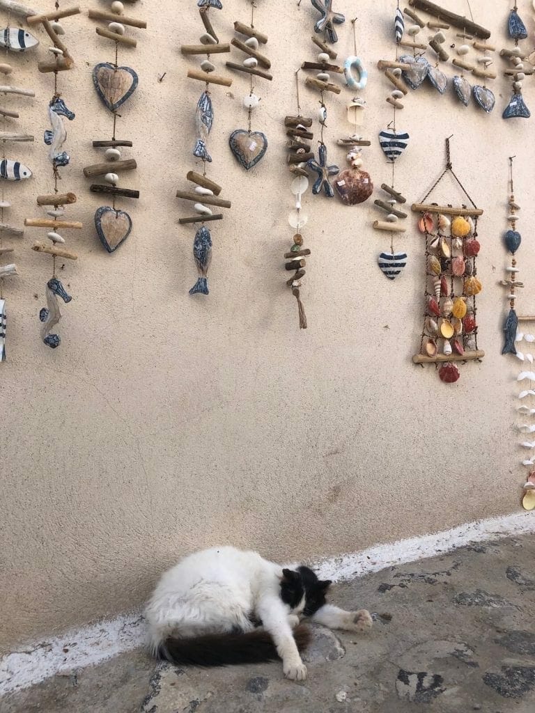 a black and white cat and some souvenirs hanging on a wall in the village of Pyrgos, Santorini