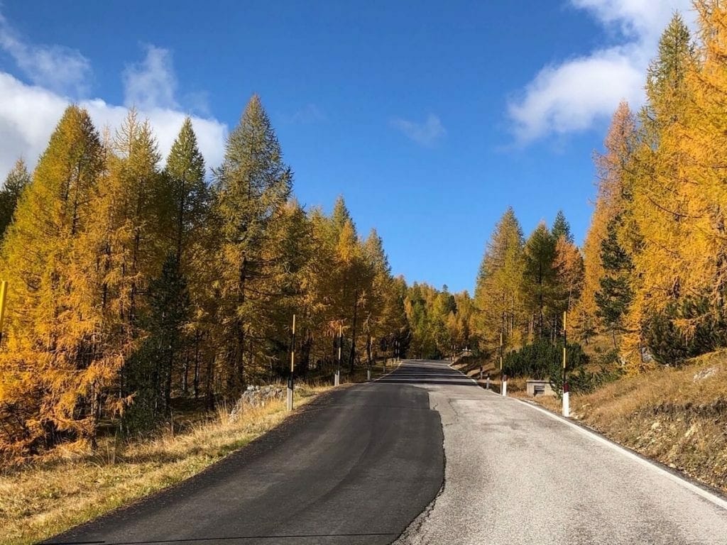 Scenic road during autumn. 