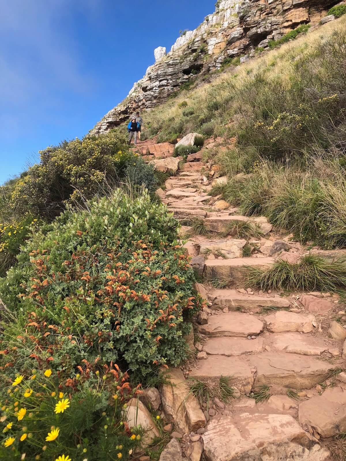 Lions Head Hike, Cape Town: Everything You Need To Know