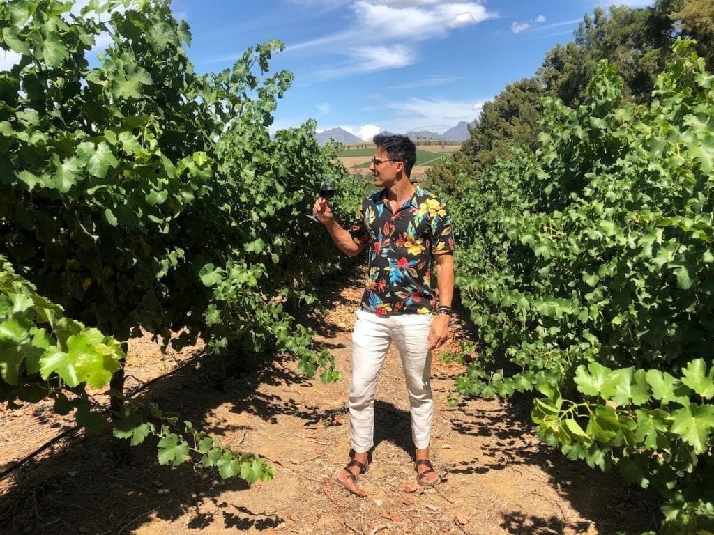 Fazer um passeio para as vinícolas de Stellenbosch tem que estar na sua lista quando visitar a África do Sul.