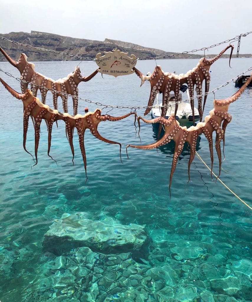 30 Amazing Things to Do in Santorini, Greece 8 Squids hanged up at Ammoudi Bay, Santorini