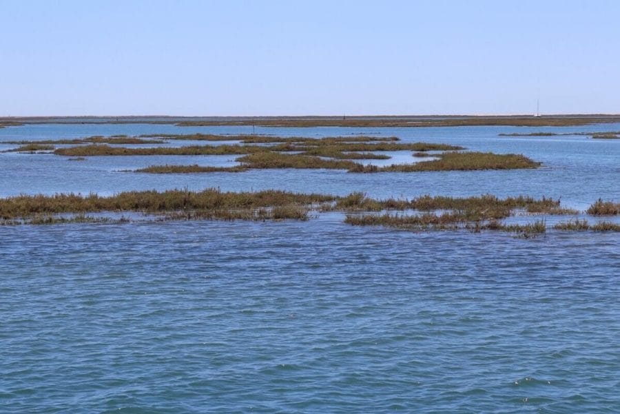 15 Best Things to Do in Faro Portugal - Tours & Activities Included 17 Ria Formosa