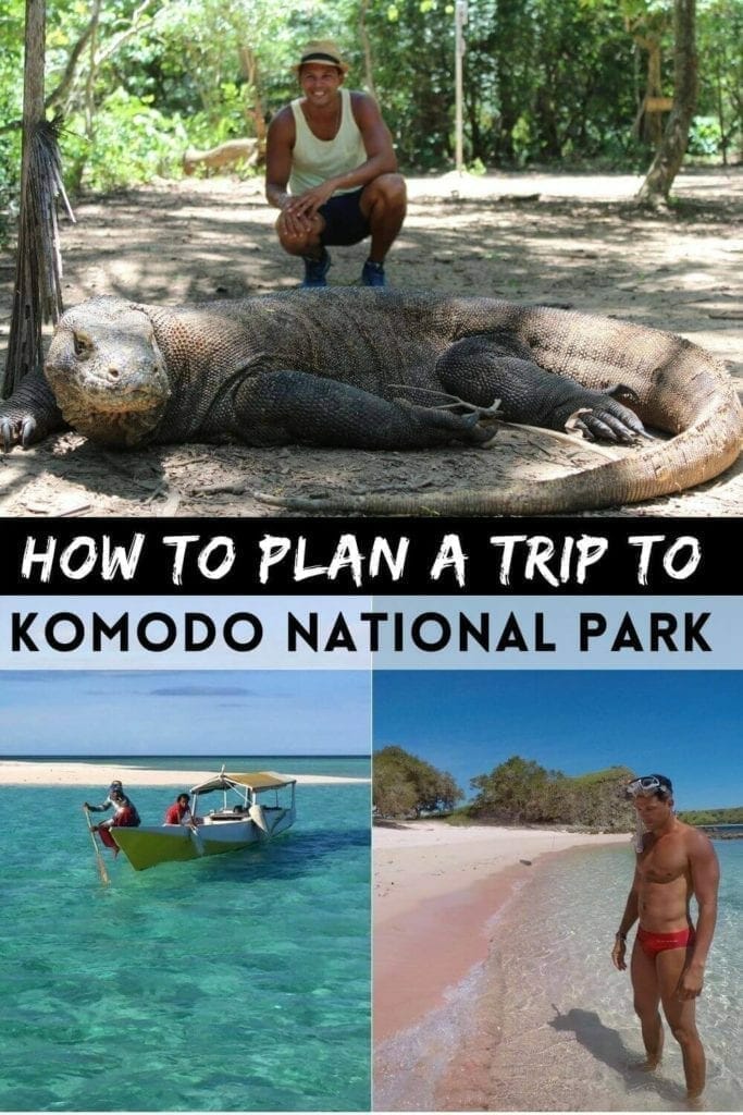 How to Plan a Trip to Komodo National Park, Indonesia 4