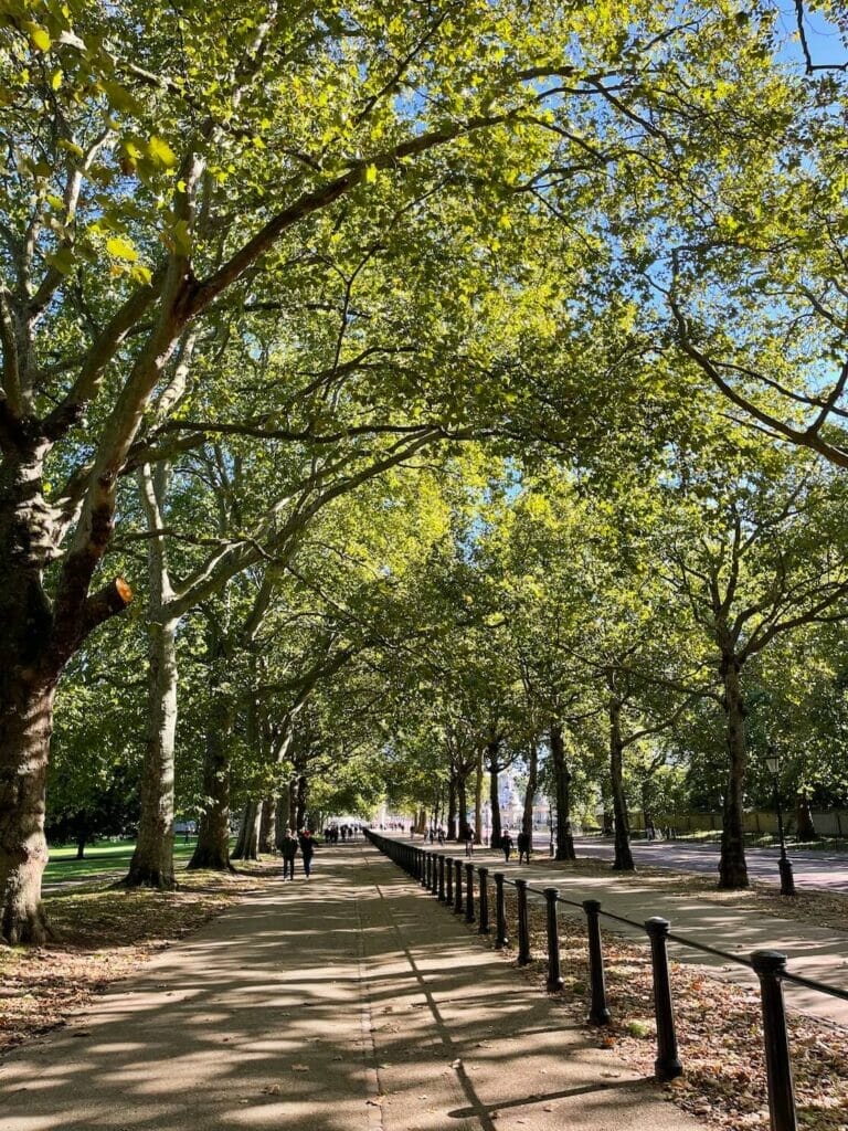 Uma faixa de pedestres e ciclovia cercada por árvores em Constitution Hill, Londres