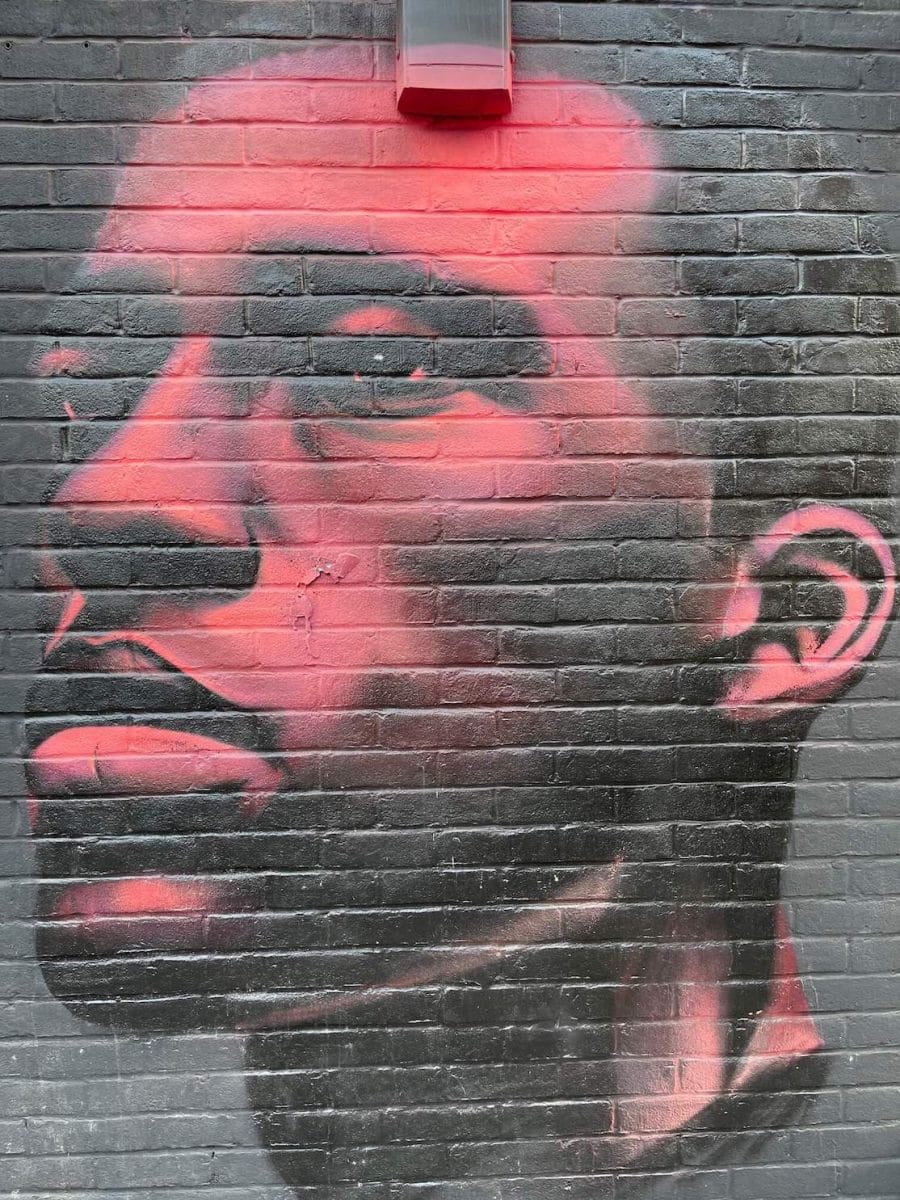 A neon pink face portrait mural of a man by David Speed on Redchurch St, London
