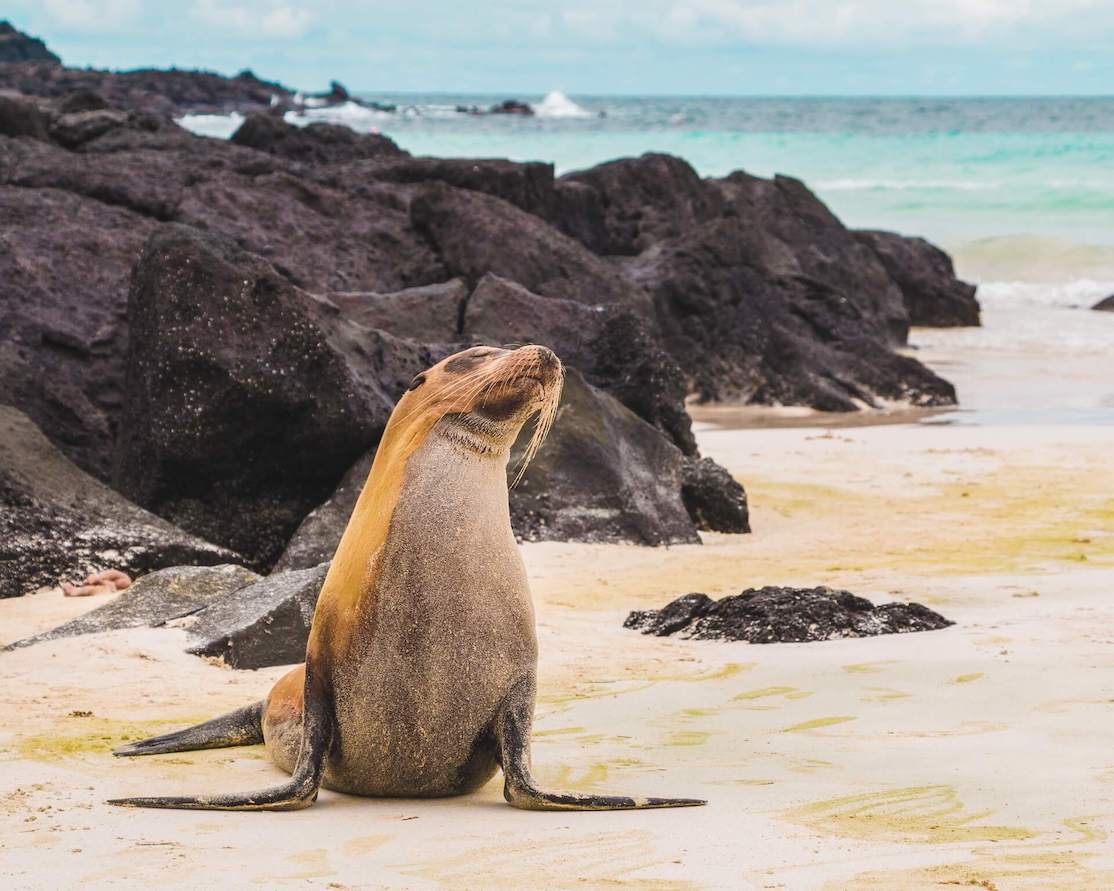 visit Galapagos Islands