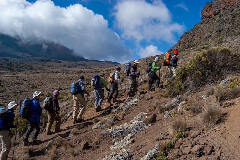 Essential Guide to Conquering Mount Kilimanjaro, Africa's Highest Peak 4 Line of hikers walking uphill in the mountains, moss, heather and small bushes on red coloured sand. This is the Route Rongai climbing Kilimanjaro.